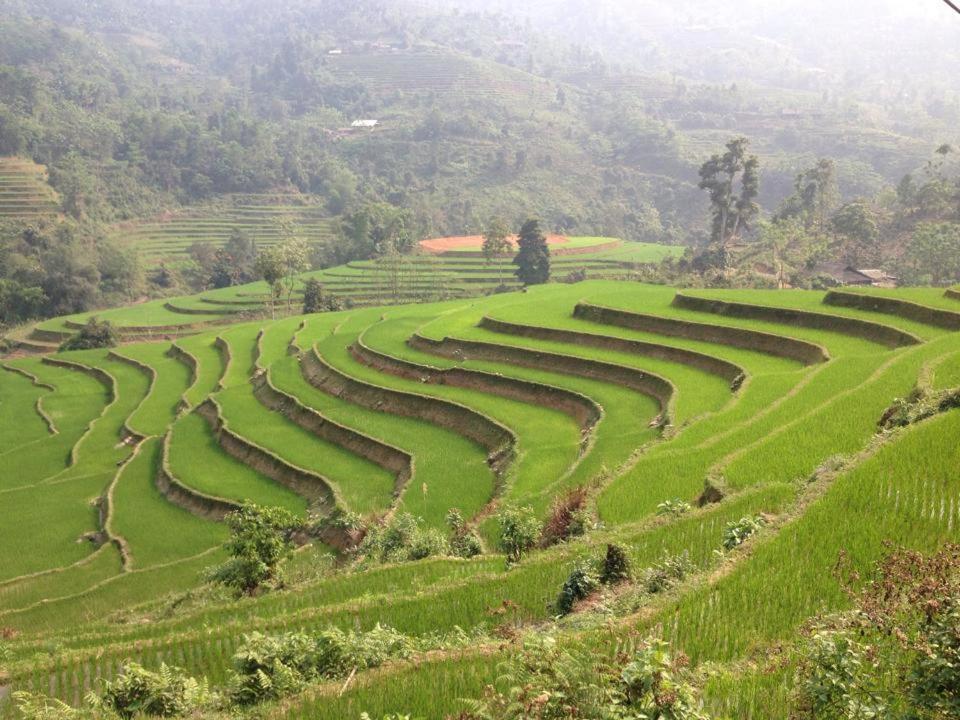 Ngan Nga Bac Ha Hotel Exterior photo